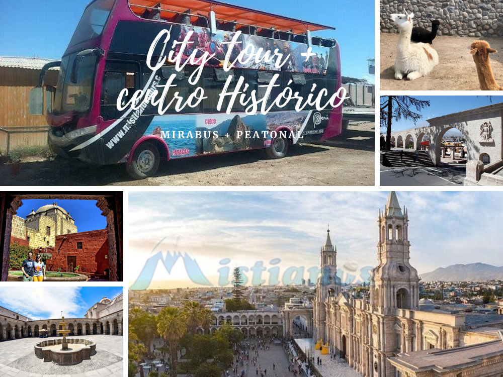 City tour + Tour Peatonal centro Histórico