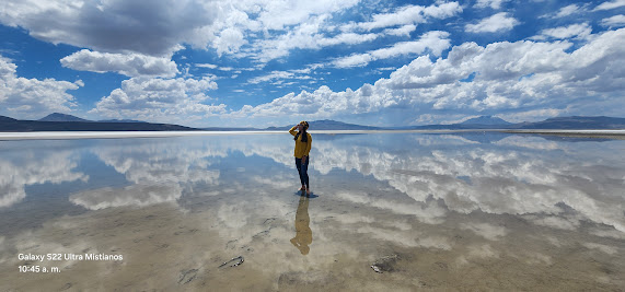 Laguna de Salinas - Half Day